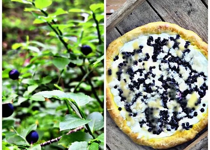 Purpurova Luka * Velké Karlovice